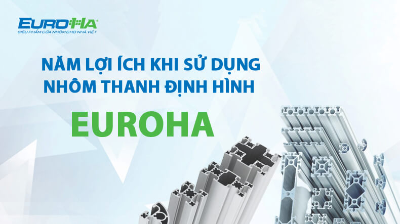 loi-ich-nhom-thanh-dinh-hinh-euroha